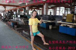 铸造车门模具