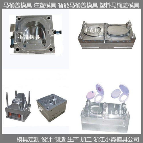 中国模具生产 智能塑料马桶盖模具图