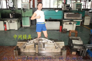小霞定做ats塑胶汽配件主机厂模具 汽车外饰注塑模具工厂