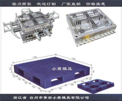 注塑模具定制pp站板模具